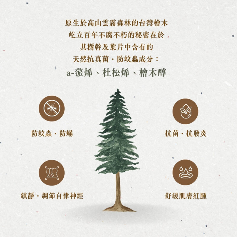 【加強版】天然台灣檜木複方精油防蚊液（添加PMD檸檬桉醇）